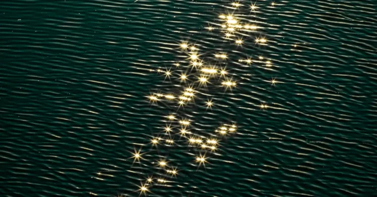 《一如既往》：驚鴻一瞥未來的風險與機緣03