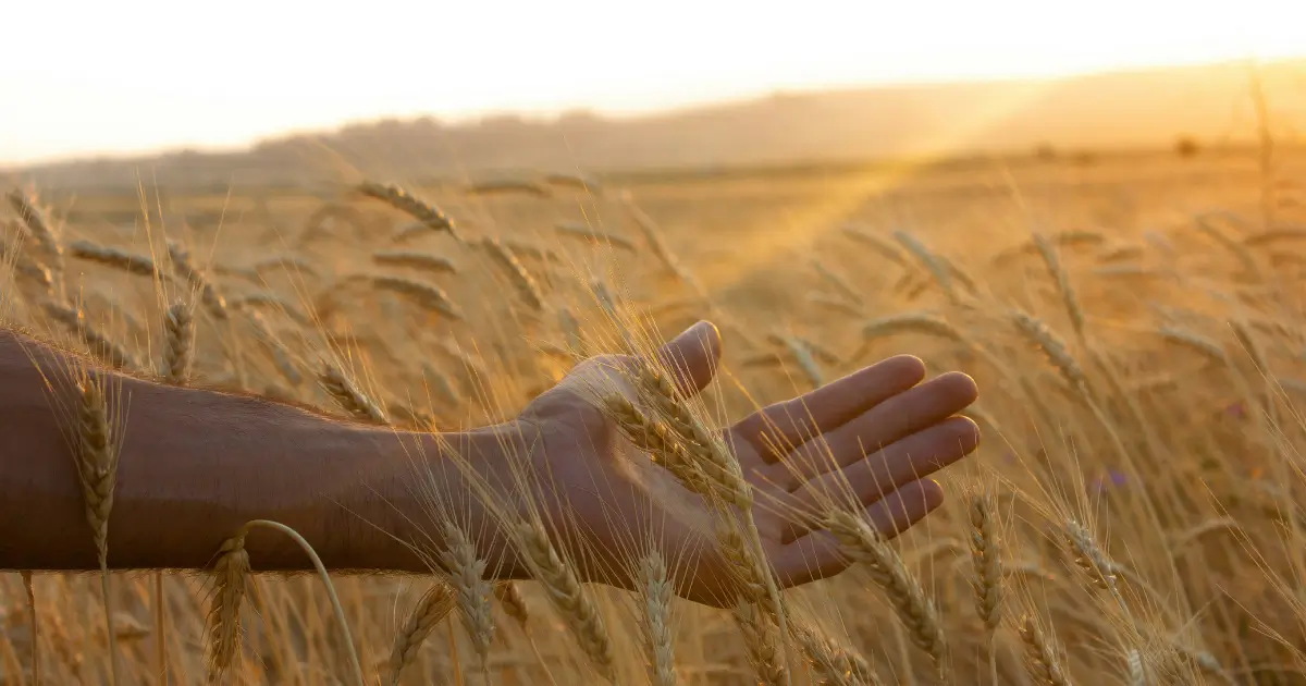 《靈覺醒》：靈性覺醒的-5-個真相，給正在覺醒的你！05